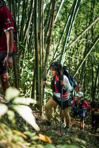 BIB: 
                            <button type="button" onclick="openModal(27924977)" class="btn btn-primary btn-sm float-right btn-popup" data-toggle="modal" data-target=".modal-high-quality">
                        <i class="fas fa-shopping-cart"></i> Add to Cart
                    </button>
                                            <button type="button" onclick="isThisMe(27924977, true)" class="btn btn-success btn-sm float-right btn-popup btn-isme hidden" data-toggle="tooltip" data-placement="bottom" title="นี่คือรูปของคุณใช่ไหม คลิกที่นี่เพื่อเอาเข้าอัลบั้ม">
                        <i class="fas fa-plus"></i> Add to album
                    </button>
                    <button type="button" onclick="isThisMe(27924977, false)" class="btn btn-warning btn-sm float-right btn-popup btn-isnotme hidden">
                        <i class="fas fa-ban"></i> Remove from album
                    </button>