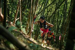 BIB: 
                            <button type="button" onclick="openModal(27922468)" class="btn btn-primary btn-sm float-right btn-popup" data-toggle="modal" data-target=".modal-high-quality">
                        <i class="fas fa-shopping-cart"></i> Add to Cart
                    </button>
                                            <button type="button" onclick="isThisMe(27922468, true)" class="btn btn-success btn-sm float-right btn-popup btn-isme hidden" data-toggle="tooltip" data-placement="bottom" title="นี่คือรูปของคุณใช่ไหม คลิกที่นี่เพื่อเอาเข้าอัลบั้ม">
                        <i class="fas fa-plus"></i> Add to album
                    </button>
                    <button type="button" onclick="isThisMe(27922468, false)" class="btn btn-warning btn-sm float-right btn-popup btn-isnotme hidden">
                        <i class="fas fa-ban"></i> Remove from album
                    </button>