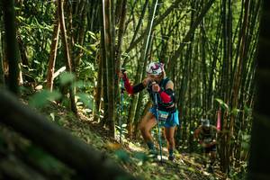 BIB: 
                            <button type="button" onclick="openModal(27922973)" class="btn btn-primary btn-sm float-right btn-popup" data-toggle="modal" data-target=".modal-high-quality">
                        <i class="fas fa-shopping-cart"></i> Add to Cart
                    </button>
                                            <button type="button" onclick="isThisMe(27922973, true)" class="btn btn-success btn-sm float-right btn-popup btn-isme hidden" data-toggle="tooltip" data-placement="bottom" title="นี่คือรูปของคุณใช่ไหม คลิกที่นี่เพื่อเอาเข้าอัลบั้ม">
                        <i class="fas fa-plus"></i> Add to album
                    </button>
                    <button type="button" onclick="isThisMe(27922973, false)" class="btn btn-warning btn-sm float-right btn-popup btn-isnotme hidden">
                        <i class="fas fa-ban"></i> Remove from album
                    </button>