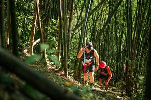 BIB: 
                            <button type="button" onclick="openModal(27922699)" class="btn btn-primary btn-sm float-right btn-popup" data-toggle="modal" data-target=".modal-high-quality">
                        <i class="fas fa-shopping-cart"></i> Add to Cart
                    </button>
                                            <button type="button" onclick="isThisMe(27922699, true)" class="btn btn-success btn-sm float-right btn-popup btn-isme hidden" data-toggle="tooltip" data-placement="bottom" title="นี่คือรูปของคุณใช่ไหม คลิกที่นี่เพื่อเอาเข้าอัลบั้ม">
                        <i class="fas fa-plus"></i> Add to album
                    </button>
                    <button type="button" onclick="isThisMe(27922699, false)" class="btn btn-warning btn-sm float-right btn-popup btn-isnotme hidden">
                        <i class="fas fa-ban"></i> Remove from album
                    </button>