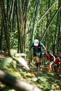 BIB: 
                            <button type="button" onclick="openModal(27925092)" class="btn btn-primary btn-sm float-right btn-popup" data-toggle="modal" data-target=".modal-high-quality">
                        <i class="fas fa-shopping-cart"></i> Add to Cart
                    </button>
                                            <button type="button" onclick="isThisMe(27925092, true)" class="btn btn-success btn-sm float-right btn-popup btn-isme hidden" data-toggle="tooltip" data-placement="bottom" title="นี่คือรูปของคุณใช่ไหม คลิกที่นี่เพื่อเอาเข้าอัลบั้ม">
                        <i class="fas fa-plus"></i> Add to album
                    </button>
                    <button type="button" onclick="isThisMe(27925092, false)" class="btn btn-warning btn-sm float-right btn-popup btn-isnotme hidden">
                        <i class="fas fa-ban"></i> Remove from album
                    </button>