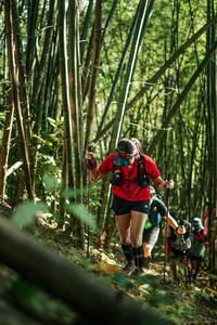 BIB: 
                            <button type="button" onclick="openModal(27923036)" class="btn btn-primary btn-sm float-right btn-popup" data-toggle="modal" data-target=".modal-high-quality">
                        <i class="fas fa-shopping-cart"></i> Add to Cart
                    </button>
                                            <button type="button" onclick="isThisMe(27923036, true)" class="btn btn-success btn-sm float-right btn-popup btn-isme hidden" data-toggle="tooltip" data-placement="bottom" title="นี่คือรูปของคุณใช่ไหม คลิกที่นี่เพื่อเอาเข้าอัลบั้ม">
                        <i class="fas fa-plus"></i> Add to album
                    </button>
                    <button type="button" onclick="isThisMe(27923036, false)" class="btn btn-warning btn-sm float-right btn-popup btn-isnotme hidden">
                        <i class="fas fa-ban"></i> Remove from album
                    </button>