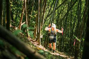 BIB: 
                            <button type="button" onclick="openModal(27922552)" class="btn btn-primary btn-sm float-right btn-popup" data-toggle="modal" data-target=".modal-high-quality">
                        <i class="fas fa-shopping-cart"></i> Add to Cart
                    </button>
                                            <button type="button" onclick="isThisMe(27922552, true)" class="btn btn-success btn-sm float-right btn-popup btn-isme hidden" data-toggle="tooltip" data-placement="bottom" title="นี่คือรูปของคุณใช่ไหม คลิกที่นี่เพื่อเอาเข้าอัลบั้ม">
                        <i class="fas fa-plus"></i> Add to album
                    </button>
                    <button type="button" onclick="isThisMe(27922552, false)" class="btn btn-warning btn-sm float-right btn-popup btn-isnotme hidden">
                        <i class="fas fa-ban"></i> Remove from album
                    </button>