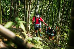 BIB: 
                            <button type="button" onclick="openModal(27925388)" class="btn btn-primary btn-sm float-right btn-popup" data-toggle="modal" data-target=".modal-high-quality">
                        <i class="fas fa-shopping-cart"></i> Add to Cart
                    </button>
                                            <button type="button" onclick="isThisMe(27925388, true)" class="btn btn-success btn-sm float-right btn-popup btn-isme hidden" data-toggle="tooltip" data-placement="bottom" title="นี่คือรูปของคุณใช่ไหม คลิกที่นี่เพื่อเอาเข้าอัลบั้ม">
                        <i class="fas fa-plus"></i> Add to album
                    </button>
                    <button type="button" onclick="isThisMe(27925388, false)" class="btn btn-warning btn-sm float-right btn-popup btn-isnotme hidden">
                        <i class="fas fa-ban"></i> Remove from album
                    </button>