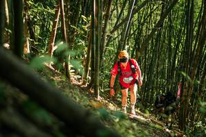 BIB: 
                            <button type="button" onclick="openModal(27922884)" class="btn btn-primary btn-sm float-right btn-popup" data-toggle="modal" data-target=".modal-high-quality">
                        <i class="fas fa-shopping-cart"></i> Add to Cart
                    </button>
                                            <button type="button" onclick="isThisMe(27922884, true)" class="btn btn-success btn-sm float-right btn-popup btn-isme hidden" data-toggle="tooltip" data-placement="bottom" title="นี่คือรูปของคุณใช่ไหม คลิกที่นี่เพื่อเอาเข้าอัลบั้ม">
                        <i class="fas fa-plus"></i> Add to album
                    </button>
                    <button type="button" onclick="isThisMe(27922884, false)" class="btn btn-warning btn-sm float-right btn-popup btn-isnotme hidden">
                        <i class="fas fa-ban"></i> Remove from album
                    </button>