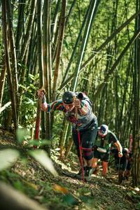 BIB: 
                            <button type="button" onclick="openModal(27923360)" class="btn btn-primary btn-sm float-right btn-popup" data-toggle="modal" data-target=".modal-high-quality">
                        <i class="fas fa-shopping-cart"></i> Add to Cart
                    </button>
                                            <button type="button" onclick="isThisMe(27923360, true)" class="btn btn-success btn-sm float-right btn-popup btn-isme hidden" data-toggle="tooltip" data-placement="bottom" title="นี่คือรูปของคุณใช่ไหม คลิกที่นี่เพื่อเอาเข้าอัลบั้ม">
                        <i class="fas fa-plus"></i> Add to album
                    </button>
                    <button type="button" onclick="isThisMe(27923360, false)" class="btn btn-warning btn-sm float-right btn-popup btn-isnotme hidden">
                        <i class="fas fa-ban"></i> Remove from album
                    </button>