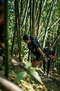 BIB: 
                            <button type="button" onclick="openModal(27925270)" class="btn btn-primary btn-sm float-right btn-popup" data-toggle="modal" data-target=".modal-high-quality">
                        <i class="fas fa-shopping-cart"></i> Add to Cart
                    </button>
                                            <button type="button" onclick="isThisMe(27925270, true)" class="btn btn-success btn-sm float-right btn-popup btn-isme hidden" data-toggle="tooltip" data-placement="bottom" title="นี่คือรูปของคุณใช่ไหม คลิกที่นี่เพื่อเอาเข้าอัลบั้ม">
                        <i class="fas fa-plus"></i> Add to album
                    </button>
                    <button type="button" onclick="isThisMe(27925270, false)" class="btn btn-warning btn-sm float-right btn-popup btn-isnotme hidden">
                        <i class="fas fa-ban"></i> Remove from album
                    </button>