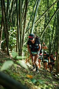 BIB: 
                            <button type="button" onclick="openModal(27924194)" class="btn btn-primary btn-sm float-right btn-popup" data-toggle="modal" data-target=".modal-high-quality">
                        <i class="fas fa-shopping-cart"></i> Add to Cart
                    </button>
                                            <button type="button" onclick="isThisMe(27924194, true)" class="btn btn-success btn-sm float-right btn-popup btn-isme hidden" data-toggle="tooltip" data-placement="bottom" title="นี่คือรูปของคุณใช่ไหม คลิกที่นี่เพื่อเอาเข้าอัลบั้ม">
                        <i class="fas fa-plus"></i> Add to album
                    </button>
                    <button type="button" onclick="isThisMe(27924194, false)" class="btn btn-warning btn-sm float-right btn-popup btn-isnotme hidden">
                        <i class="fas fa-ban"></i> Remove from album
                    </button>