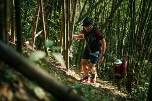 BIB: 
                            <button type="button" onclick="openModal(27922415)" class="btn btn-primary btn-sm float-right btn-popup" data-toggle="modal" data-target=".modal-high-quality">
                        <i class="fas fa-shopping-cart"></i> Add to Cart
                    </button>
                                            <button type="button" onclick="isThisMe(27922415, true)" class="btn btn-success btn-sm float-right btn-popup btn-isme hidden" data-toggle="tooltip" data-placement="bottom" title="นี่คือรูปของคุณใช่ไหม คลิกที่นี่เพื่อเอาเข้าอัลบั้ม">
                        <i class="fas fa-plus"></i> Add to album
                    </button>
                    <button type="button" onclick="isThisMe(27922415, false)" class="btn btn-warning btn-sm float-right btn-popup btn-isnotme hidden">
                        <i class="fas fa-ban"></i> Remove from album
                    </button>