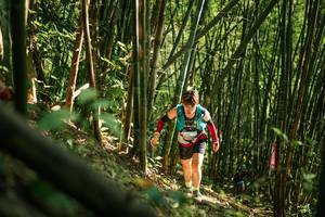 BIB: 
                            <button type="button" onclick="openModal(27922952)" class="btn btn-primary btn-sm float-right btn-popup" data-toggle="modal" data-target=".modal-high-quality">
                        <i class="fas fa-shopping-cart"></i> Add to Cart
                    </button>
                                            <button type="button" onclick="isThisMe(27922952, true)" class="btn btn-success btn-sm float-right btn-popup btn-isme hidden" data-toggle="tooltip" data-placement="bottom" title="นี่คือรูปของคุณใช่ไหม คลิกที่นี่เพื่อเอาเข้าอัลบั้ม">
                        <i class="fas fa-plus"></i> Add to album
                    </button>
                    <button type="button" onclick="isThisMe(27922952, false)" class="btn btn-warning btn-sm float-right btn-popup btn-isnotme hidden">
                        <i class="fas fa-ban"></i> Remove from album
                    </button>