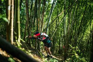 BIB: 
                            <button type="button" onclick="openModal(27926017)" class="btn btn-primary btn-sm float-right btn-popup" data-toggle="modal" data-target=".modal-high-quality">
                        <i class="fas fa-shopping-cart"></i> Add to Cart
                    </button>
                                            <button type="button" onclick="isThisMe(27926017, true)" class="btn btn-success btn-sm float-right btn-popup btn-isme hidden" data-toggle="tooltip" data-placement="bottom" title="นี่คือรูปของคุณใช่ไหม คลิกที่นี่เพื่อเอาเข้าอัลบั้ม">
                        <i class="fas fa-plus"></i> Add to album
                    </button>
                    <button type="button" onclick="isThisMe(27926017, false)" class="btn btn-warning btn-sm float-right btn-popup btn-isnotme hidden">
                        <i class="fas fa-ban"></i> Remove from album
                    </button>