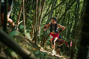 BIB: 
                            <button type="button" onclick="openModal(27922461)" class="btn btn-primary btn-sm float-right btn-popup" data-toggle="modal" data-target=".modal-high-quality">
                        <i class="fas fa-shopping-cart"></i> Add to Cart
                    </button>
                                            <button type="button" onclick="isThisMe(27922461, true)" class="btn btn-success btn-sm float-right btn-popup btn-isme hidden" data-toggle="tooltip" data-placement="bottom" title="นี่คือรูปของคุณใช่ไหม คลิกที่นี่เพื่อเอาเข้าอัลบั้ม">
                        <i class="fas fa-plus"></i> Add to album
                    </button>
                    <button type="button" onclick="isThisMe(27922461, false)" class="btn btn-warning btn-sm float-right btn-popup btn-isnotme hidden">
                        <i class="fas fa-ban"></i> Remove from album
                    </button>