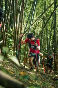 BIB: 
                            <button type="button" onclick="openModal(27923350)" class="btn btn-primary btn-sm float-right btn-popup" data-toggle="modal" data-target=".modal-high-quality">
                        <i class="fas fa-shopping-cart"></i> Add to Cart
                    </button>
                                            <button type="button" onclick="isThisMe(27923350, true)" class="btn btn-success btn-sm float-right btn-popup btn-isme hidden" data-toggle="tooltip" data-placement="bottom" title="นี่คือรูปของคุณใช่ไหม คลิกที่นี่เพื่อเอาเข้าอัลบั้ม">
                        <i class="fas fa-plus"></i> Add to album
                    </button>
                    <button type="button" onclick="isThisMe(27923350, false)" class="btn btn-warning btn-sm float-right btn-popup btn-isnotme hidden">
                        <i class="fas fa-ban"></i> Remove from album
                    </button>