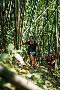 BIB: 
                            <button type="button" onclick="openModal(27925156)" class="btn btn-primary btn-sm float-right btn-popup" data-toggle="modal" data-target=".modal-high-quality">
                        <i class="fas fa-shopping-cart"></i> Add to Cart
                    </button>
                                            <button type="button" onclick="isThisMe(27925156, true)" class="btn btn-success btn-sm float-right btn-popup btn-isme hidden" data-toggle="tooltip" data-placement="bottom" title="นี่คือรูปของคุณใช่ไหม คลิกที่นี่เพื่อเอาเข้าอัลบั้ม">
                        <i class="fas fa-plus"></i> Add to album
                    </button>
                    <button type="button" onclick="isThisMe(27925156, false)" class="btn btn-warning btn-sm float-right btn-popup btn-isnotme hidden">
                        <i class="fas fa-ban"></i> Remove from album
                    </button>