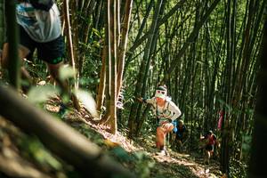 BIB: 
                            <button type="button" onclick="openModal(27922251)" class="btn btn-primary btn-sm float-right btn-popup" data-toggle="modal" data-target=".modal-high-quality">
                        <i class="fas fa-shopping-cart"></i> Add to Cart
                    </button>
                                            <button type="button" onclick="isThisMe(27922251, true)" class="btn btn-success btn-sm float-right btn-popup btn-isme hidden" data-toggle="tooltip" data-placement="bottom" title="นี่คือรูปของคุณใช่ไหม คลิกที่นี่เพื่อเอาเข้าอัลบั้ม">
                        <i class="fas fa-plus"></i> Add to album
                    </button>
                    <button type="button" onclick="isThisMe(27922251, false)" class="btn btn-warning btn-sm float-right btn-popup btn-isnotme hidden">
                        <i class="fas fa-ban"></i> Remove from album
                    </button>