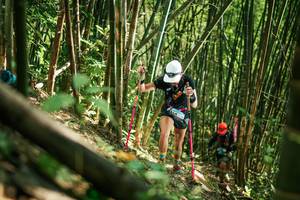 BIB: 
                            <button type="button" onclick="openModal(27923613)" class="btn btn-primary btn-sm float-right btn-popup" data-toggle="modal" data-target=".modal-high-quality">
                        <i class="fas fa-shopping-cart"></i> Add to Cart
                    </button>
                                            <button type="button" onclick="isThisMe(27923613, true)" class="btn btn-success btn-sm float-right btn-popup btn-isme hidden" data-toggle="tooltip" data-placement="bottom" title="นี่คือรูปของคุณใช่ไหม คลิกที่นี่เพื่อเอาเข้าอัลบั้ม">
                        <i class="fas fa-plus"></i> Add to album
                    </button>
                    <button type="button" onclick="isThisMe(27923613, false)" class="btn btn-warning btn-sm float-right btn-popup btn-isnotme hidden">
                        <i class="fas fa-ban"></i> Remove from album
                    </button>