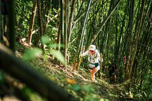 BIB: 
                            <button type="button" onclick="openModal(27924104)" class="btn btn-primary btn-sm float-right btn-popup" data-toggle="modal" data-target=".modal-high-quality">
                        <i class="fas fa-shopping-cart"></i> Add to Cart
                    </button>
                                            <button type="button" onclick="isThisMe(27924104, true)" class="btn btn-success btn-sm float-right btn-popup btn-isme hidden" data-toggle="tooltip" data-placement="bottom" title="นี่คือรูปของคุณใช่ไหม คลิกที่นี่เพื่อเอาเข้าอัลบั้ม">
                        <i class="fas fa-plus"></i> Add to album
                    </button>
                    <button type="button" onclick="isThisMe(27924104, false)" class="btn btn-warning btn-sm float-right btn-popup btn-isnotme hidden">
                        <i class="fas fa-ban"></i> Remove from album
                    </button>