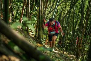 BIB: 
                            <button type="button" onclick="openModal(27923333)" class="btn btn-primary btn-sm float-right btn-popup" data-toggle="modal" data-target=".modal-high-quality">
                        <i class="fas fa-shopping-cart"></i> Add to Cart
                    </button>
                                            <button type="button" onclick="isThisMe(27923333, true)" class="btn btn-success btn-sm float-right btn-popup btn-isme hidden" data-toggle="tooltip" data-placement="bottom" title="นี่คือรูปของคุณใช่ไหม คลิกที่นี่เพื่อเอาเข้าอัลบั้ม">
                        <i class="fas fa-plus"></i> Add to album
                    </button>
                    <button type="button" onclick="isThisMe(27923333, false)" class="btn btn-warning btn-sm float-right btn-popup btn-isnotme hidden">
                        <i class="fas fa-ban"></i> Remove from album
                    </button>