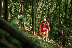 BIB: 
                            <button type="button" onclick="openModal(27922885)" class="btn btn-primary btn-sm float-right btn-popup" data-toggle="modal" data-target=".modal-high-quality">
                        <i class="fas fa-shopping-cart"></i> Add to Cart
                    </button>
                                            <button type="button" onclick="isThisMe(27922885, true)" class="btn btn-success btn-sm float-right btn-popup btn-isme hidden" data-toggle="tooltip" data-placement="bottom" title="นี่คือรูปของคุณใช่ไหม คลิกที่นี่เพื่อเอาเข้าอัลบั้ม">
                        <i class="fas fa-plus"></i> Add to album
                    </button>
                    <button type="button" onclick="isThisMe(27922885, false)" class="btn btn-warning btn-sm float-right btn-popup btn-isnotme hidden">
                        <i class="fas fa-ban"></i> Remove from album
                    </button>