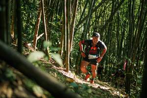 BIB: 
                            <button type="button" onclick="openModal(27922384)" class="btn btn-primary btn-sm float-right btn-popup" data-toggle="modal" data-target=".modal-high-quality">
                        <i class="fas fa-shopping-cart"></i> Add to Cart
                    </button>
                                            <button type="button" onclick="isThisMe(27922384, true)" class="btn btn-success btn-sm float-right btn-popup btn-isme hidden" data-toggle="tooltip" data-placement="bottom" title="นี่คือรูปของคุณใช่ไหม คลิกที่นี่เพื่อเอาเข้าอัลบั้ม">
                        <i class="fas fa-plus"></i> Add to album
                    </button>
                    <button type="button" onclick="isThisMe(27922384, false)" class="btn btn-warning btn-sm float-right btn-popup btn-isnotme hidden">
                        <i class="fas fa-ban"></i> Remove from album
                    </button>