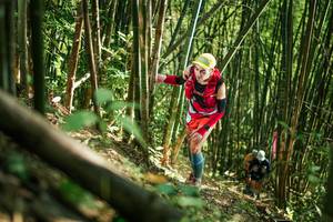 BIB: 
                            <button type="button" onclick="openModal(27923587)" class="btn btn-primary btn-sm float-right btn-popup" data-toggle="modal" data-target=".modal-high-quality">
                        <i class="fas fa-shopping-cart"></i> Add to Cart
                    </button>
                                            <button type="button" onclick="isThisMe(27923587, true)" class="btn btn-success btn-sm float-right btn-popup btn-isme hidden" data-toggle="tooltip" data-placement="bottom" title="นี่คือรูปของคุณใช่ไหม คลิกที่นี่เพื่อเอาเข้าอัลบั้ม">
                        <i class="fas fa-plus"></i> Add to album
                    </button>
                    <button type="button" onclick="isThisMe(27923587, false)" class="btn btn-warning btn-sm float-right btn-popup btn-isnotme hidden">
                        <i class="fas fa-ban"></i> Remove from album
                    </button>