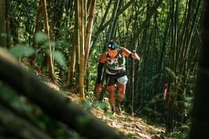 BIB: 
                            <button type="button" onclick="openModal(27921670)" class="btn btn-primary btn-sm float-right btn-popup" data-toggle="modal" data-target=".modal-high-quality">
                        <i class="fas fa-shopping-cart"></i> Add to Cart
                    </button>
                                            <button type="button" onclick="isThisMe(27921670, true)" class="btn btn-success btn-sm float-right btn-popup btn-isme hidden" data-toggle="tooltip" data-placement="bottom" title="นี่คือรูปของคุณใช่ไหม คลิกที่นี่เพื่อเอาเข้าอัลบั้ม">
                        <i class="fas fa-plus"></i> Add to album
                    </button>
                    <button type="button" onclick="isThisMe(27921670, false)" class="btn btn-warning btn-sm float-right btn-popup btn-isnotme hidden">
                        <i class="fas fa-ban"></i> Remove from album
                    </button>