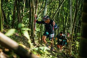 BIB: 
                            <button type="button" onclick="openModal(27925420)" class="btn btn-primary btn-sm float-right btn-popup" data-toggle="modal" data-target=".modal-high-quality">
                        <i class="fas fa-shopping-cart"></i> Add to Cart
                    </button>
                                            <button type="button" onclick="isThisMe(27925420, true)" class="btn btn-success btn-sm float-right btn-popup btn-isme hidden" data-toggle="tooltip" data-placement="bottom" title="นี่คือรูปของคุณใช่ไหม คลิกที่นี่เพื่อเอาเข้าอัลบั้ม">
                        <i class="fas fa-plus"></i> Add to album
                    </button>
                    <button type="button" onclick="isThisMe(27925420, false)" class="btn btn-warning btn-sm float-right btn-popup btn-isnotme hidden">
                        <i class="fas fa-ban"></i> Remove from album
                    </button>