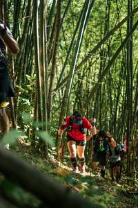 BIB: 
                            <button type="button" onclick="openModal(27923035)" class="btn btn-primary btn-sm float-right btn-popup" data-toggle="modal" data-target=".modal-high-quality">
                        <i class="fas fa-shopping-cart"></i> Add to Cart
                    </button>
                                            <button type="button" onclick="isThisMe(27923035, true)" class="btn btn-success btn-sm float-right btn-popup btn-isme hidden" data-toggle="tooltip" data-placement="bottom" title="นี่คือรูปของคุณใช่ไหม คลิกที่นี่เพื่อเอาเข้าอัลบั้ม">
                        <i class="fas fa-plus"></i> Add to album
                    </button>
                    <button type="button" onclick="isThisMe(27923035, false)" class="btn btn-warning btn-sm float-right btn-popup btn-isnotme hidden">
                        <i class="fas fa-ban"></i> Remove from album
                    </button>