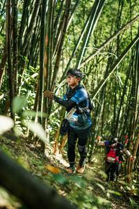 BIB: 
                            <button type="button" onclick="openModal(27924404)" class="btn btn-primary btn-sm float-right btn-popup" data-toggle="modal" data-target=".modal-high-quality">
                        <i class="fas fa-shopping-cart"></i> Add to Cart
                    </button>
                                            <button type="button" onclick="isThisMe(27924404, true)" class="btn btn-success btn-sm float-right btn-popup btn-isme hidden" data-toggle="tooltip" data-placement="bottom" title="นี่คือรูปของคุณใช่ไหม คลิกที่นี่เพื่อเอาเข้าอัลบั้ม">
                        <i class="fas fa-plus"></i> Add to album
                    </button>
                    <button type="button" onclick="isThisMe(27924404, false)" class="btn btn-warning btn-sm float-right btn-popup btn-isnotme hidden">
                        <i class="fas fa-ban"></i> Remove from album
                    </button>