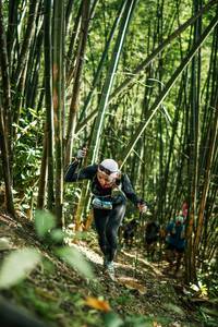 BIB: 
                            <button type="button" onclick="openModal(27923977)" class="btn btn-primary btn-sm float-right btn-popup" data-toggle="modal" data-target=".modal-high-quality">
                        <i class="fas fa-shopping-cart"></i> Add to Cart
                    </button>
                                            <button type="button" onclick="isThisMe(27923977, true)" class="btn btn-success btn-sm float-right btn-popup btn-isme hidden" data-toggle="tooltip" data-placement="bottom" title="นี่คือรูปของคุณใช่ไหม คลิกที่นี่เพื่อเอาเข้าอัลบั้ม">
                        <i class="fas fa-plus"></i> Add to album
                    </button>
                    <button type="button" onclick="isThisMe(27923977, false)" class="btn btn-warning btn-sm float-right btn-popup btn-isnotme hidden">
                        <i class="fas fa-ban"></i> Remove from album
                    </button>