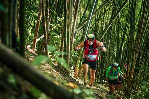 BIB: 
                            <button type="button" onclick="openModal(27923690)" class="btn btn-primary btn-sm float-right btn-popup" data-toggle="modal" data-target=".modal-high-quality">
                        <i class="fas fa-shopping-cart"></i> Add to Cart
                    </button>
                                            <button type="button" onclick="isThisMe(27923690, true)" class="btn btn-success btn-sm float-right btn-popup btn-isme hidden" data-toggle="tooltip" data-placement="bottom" title="นี่คือรูปของคุณใช่ไหม คลิกที่นี่เพื่อเอาเข้าอัลบั้ม">
                        <i class="fas fa-plus"></i> Add to album
                    </button>
                    <button type="button" onclick="isThisMe(27923690, false)" class="btn btn-warning btn-sm float-right btn-popup btn-isnotme hidden">
                        <i class="fas fa-ban"></i> Remove from album
                    </button>