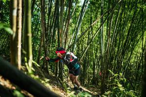 BIB: 
                            <button type="button" onclick="openModal(27926019)" class="btn btn-primary btn-sm float-right btn-popup" data-toggle="modal" data-target=".modal-high-quality">
                        <i class="fas fa-shopping-cart"></i> Add to Cart
                    </button>
                                            <button type="button" onclick="isThisMe(27926019, true)" class="btn btn-success btn-sm float-right btn-popup btn-isme hidden" data-toggle="tooltip" data-placement="bottom" title="นี่คือรูปของคุณใช่ไหม คลิกที่นี่เพื่อเอาเข้าอัลบั้ม">
                        <i class="fas fa-plus"></i> Add to album
                    </button>
                    <button type="button" onclick="isThisMe(27926019, false)" class="btn btn-warning btn-sm float-right btn-popup btn-isnotme hidden">
                        <i class="fas fa-ban"></i> Remove from album
                    </button>