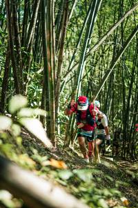 BIB: 
                            <button type="button" onclick="openModal(27925060)" class="btn btn-primary btn-sm float-right btn-popup" data-toggle="modal" data-target=".modal-high-quality">
                        <i class="fas fa-shopping-cart"></i> Add to Cart
                    </button>
                                            <button type="button" onclick="isThisMe(27925060, true)" class="btn btn-success btn-sm float-right btn-popup btn-isme hidden" data-toggle="tooltip" data-placement="bottom" title="นี่คือรูปของคุณใช่ไหม คลิกที่นี่เพื่อเอาเข้าอัลบั้ม">
                        <i class="fas fa-plus"></i> Add to album
                    </button>
                    <button type="button" onclick="isThisMe(27925060, false)" class="btn btn-warning btn-sm float-right btn-popup btn-isnotme hidden">
                        <i class="fas fa-ban"></i> Remove from album
                    </button>