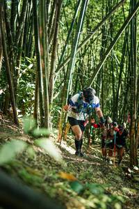 BIB: 
                            <button type="button" onclick="openModal(27924164)" class="btn btn-primary btn-sm float-right btn-popup" data-toggle="modal" data-target=".modal-high-quality">
                        <i class="fas fa-shopping-cart"></i> Add to Cart
                    </button>
                                            <button type="button" onclick="isThisMe(27924164, true)" class="btn btn-success btn-sm float-right btn-popup btn-isme hidden" data-toggle="tooltip" data-placement="bottom" title="นี่คือรูปของคุณใช่ไหม คลิกที่นี่เพื่อเอาเข้าอัลบั้ม">
                        <i class="fas fa-plus"></i> Add to album
                    </button>
                    <button type="button" onclick="isThisMe(27924164, false)" class="btn btn-warning btn-sm float-right btn-popup btn-isnotme hidden">
                        <i class="fas fa-ban"></i> Remove from album
                    </button>