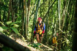 BIB: 
                            <button type="button" onclick="openModal(27926062)" class="btn btn-primary btn-sm float-right btn-popup" data-toggle="modal" data-target=".modal-high-quality">
                        <i class="fas fa-shopping-cart"></i> Add to Cart
                    </button>
                                            <button type="button" onclick="isThisMe(27926062, true)" class="btn btn-success btn-sm float-right btn-popup btn-isme hidden" data-toggle="tooltip" data-placement="bottom" title="นี่คือรูปของคุณใช่ไหม คลิกที่นี่เพื่อเอาเข้าอัลบั้ม">
                        <i class="fas fa-plus"></i> Add to album
                    </button>
                    <button type="button" onclick="isThisMe(27926062, false)" class="btn btn-warning btn-sm float-right btn-popup btn-isnotme hidden">
                        <i class="fas fa-ban"></i> Remove from album
                    </button>