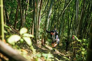 BIB: 
                            <button type="button" onclick="openModal(27925838)" class="btn btn-primary btn-sm float-right btn-popup" data-toggle="modal" data-target=".modal-high-quality">
                        <i class="fas fa-shopping-cart"></i> Add to Cart
                    </button>
                                            <button type="button" onclick="isThisMe(27925838, true)" class="btn btn-success btn-sm float-right btn-popup btn-isme hidden" data-toggle="tooltip" data-placement="bottom" title="นี่คือรูปของคุณใช่ไหม คลิกที่นี่เพื่อเอาเข้าอัลบั้ม">
                        <i class="fas fa-plus"></i> Add to album
                    </button>
                    <button type="button" onclick="isThisMe(27925838, false)" class="btn btn-warning btn-sm float-right btn-popup btn-isnotme hidden">
                        <i class="fas fa-ban"></i> Remove from album
                    </button>