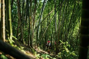 BIB: 
                            <button type="button" onclick="openModal(27925999)" class="btn btn-primary btn-sm float-right btn-popup" data-toggle="modal" data-target=".modal-high-quality">
                        <i class="fas fa-shopping-cart"></i> Add to Cart
                    </button>
                                            <button type="button" onclick="isThisMe(27925999, true)" class="btn btn-success btn-sm float-right btn-popup btn-isme hidden" data-toggle="tooltip" data-placement="bottom" title="นี่คือรูปของคุณใช่ไหม คลิกที่นี่เพื่อเอาเข้าอัลบั้ม">
                        <i class="fas fa-plus"></i> Add to album
                    </button>
                    <button type="button" onclick="isThisMe(27925999, false)" class="btn btn-warning btn-sm float-right btn-popup btn-isnotme hidden">
                        <i class="fas fa-ban"></i> Remove from album
                    </button>