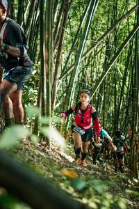 BIB: 
                            <button type="button" onclick="openModal(27924131)" class="btn btn-primary btn-sm float-right btn-popup" data-toggle="modal" data-target=".modal-high-quality">
                        <i class="fas fa-shopping-cart"></i> Add to Cart
                    </button>
                                            <button type="button" onclick="isThisMe(27924131, true)" class="btn btn-success btn-sm float-right btn-popup btn-isme hidden" data-toggle="tooltip" data-placement="bottom" title="นี่คือรูปของคุณใช่ไหม คลิกที่นี่เพื่อเอาเข้าอัลบั้ม">
                        <i class="fas fa-plus"></i> Add to album
                    </button>
                    <button type="button" onclick="isThisMe(27924131, false)" class="btn btn-warning btn-sm float-right btn-popup btn-isnotme hidden">
                        <i class="fas fa-ban"></i> Remove from album
                    </button>