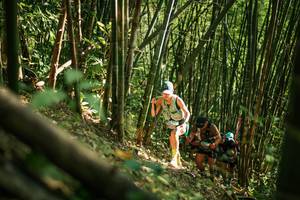 BIB: 
                            <button type="button" onclick="openModal(27923168)" class="btn btn-primary btn-sm float-right btn-popup" data-toggle="modal" data-target=".modal-high-quality">
                        <i class="fas fa-shopping-cart"></i> Add to Cart
                    </button>
                                            <button type="button" onclick="isThisMe(27923168, true)" class="btn btn-success btn-sm float-right btn-popup btn-isme hidden" data-toggle="tooltip" data-placement="bottom" title="นี่คือรูปของคุณใช่ไหม คลิกที่นี่เพื่อเอาเข้าอัลบั้ม">
                        <i class="fas fa-plus"></i> Add to album
                    </button>
                    <button type="button" onclick="isThisMe(27923168, false)" class="btn btn-warning btn-sm float-right btn-popup btn-isnotme hidden">
                        <i class="fas fa-ban"></i> Remove from album
                    </button>