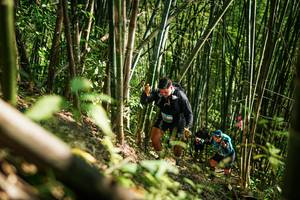 BIB: 
                            <button type="button" onclick="openModal(27925421)" class="btn btn-primary btn-sm float-right btn-popup" data-toggle="modal" data-target=".modal-high-quality">
                        <i class="fas fa-shopping-cart"></i> Add to Cart
                    </button>
                                            <button type="button" onclick="isThisMe(27925421, true)" class="btn btn-success btn-sm float-right btn-popup btn-isme hidden" data-toggle="tooltip" data-placement="bottom" title="นี่คือรูปของคุณใช่ไหม คลิกที่นี่เพื่อเอาเข้าอัลบั้ม">
                        <i class="fas fa-plus"></i> Add to album
                    </button>
                    <button type="button" onclick="isThisMe(27925421, false)" class="btn btn-warning btn-sm float-right btn-popup btn-isnotme hidden">
                        <i class="fas fa-ban"></i> Remove from album
                    </button>