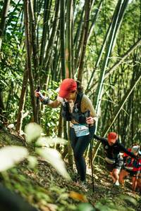 BIB: 
                            <button type="button" onclick="openModal(27924448)" class="btn btn-primary btn-sm float-right btn-popup" data-toggle="modal" data-target=".modal-high-quality">
                        <i class="fas fa-shopping-cart"></i> Add to Cart
                    </button>
                                            <button type="button" onclick="isThisMe(27924448, true)" class="btn btn-success btn-sm float-right btn-popup btn-isme hidden" data-toggle="tooltip" data-placement="bottom" title="นี่คือรูปของคุณใช่ไหม คลิกที่นี่เพื่อเอาเข้าอัลบั้ม">
                        <i class="fas fa-plus"></i> Add to album
                    </button>
                    <button type="button" onclick="isThisMe(27924448, false)" class="btn btn-warning btn-sm float-right btn-popup btn-isnotme hidden">
                        <i class="fas fa-ban"></i> Remove from album
                    </button>