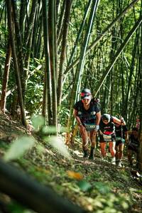 BIB: 
                            <button type="button" onclick="openModal(27924191)" class="btn btn-primary btn-sm float-right btn-popup" data-toggle="modal" data-target=".modal-high-quality">
                        <i class="fas fa-shopping-cart"></i> Add to Cart
                    </button>
                                            <button type="button" onclick="isThisMe(27924191, true)" class="btn btn-success btn-sm float-right btn-popup btn-isme hidden" data-toggle="tooltip" data-placement="bottom" title="นี่คือรูปของคุณใช่ไหม คลิกที่นี่เพื่อเอาเข้าอัลบั้ม">
                        <i class="fas fa-plus"></i> Add to album
                    </button>
                    <button type="button" onclick="isThisMe(27924191, false)" class="btn btn-warning btn-sm float-right btn-popup btn-isnotme hidden">
                        <i class="fas fa-ban"></i> Remove from album
                    </button>