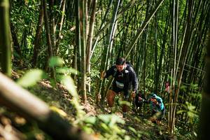 BIB: 
                            <button type="button" onclick="openModal(27925417)" class="btn btn-primary btn-sm float-right btn-popup" data-toggle="modal" data-target=".modal-high-quality">
                        <i class="fas fa-shopping-cart"></i> Add to Cart
                    </button>
                                            <button type="button" onclick="isThisMe(27925417, true)" class="btn btn-success btn-sm float-right btn-popup btn-isme hidden" data-toggle="tooltip" data-placement="bottom" title="นี่คือรูปของคุณใช่ไหม คลิกที่นี่เพื่อเอาเข้าอัลบั้ม">
                        <i class="fas fa-plus"></i> Add to album
                    </button>
                    <button type="button" onclick="isThisMe(27925417, false)" class="btn btn-warning btn-sm float-right btn-popup btn-isnotme hidden">
                        <i class="fas fa-ban"></i> Remove from album
                    </button>