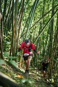 BIB: 
                            <button type="button" onclick="openModal(27923648)" class="btn btn-primary btn-sm float-right btn-popup" data-toggle="modal" data-target=".modal-high-quality">
                        <i class="fas fa-shopping-cart"></i> Add to Cart
                    </button>
                                            <button type="button" onclick="isThisMe(27923648, true)" class="btn btn-success btn-sm float-right btn-popup btn-isme hidden" data-toggle="tooltip" data-placement="bottom" title="นี่คือรูปของคุณใช่ไหม คลิกที่นี่เพื่อเอาเข้าอัลบั้ม">
                        <i class="fas fa-plus"></i> Add to album
                    </button>
                    <button type="button" onclick="isThisMe(27923648, false)" class="btn btn-warning btn-sm float-right btn-popup btn-isnotme hidden">
                        <i class="fas fa-ban"></i> Remove from album
                    </button>