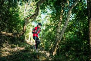 BIB: 
                            <button type="button" onclick="openModal(27929060)" class="btn btn-primary btn-sm float-right btn-popup" data-toggle="modal" data-target=".modal-high-quality">
                        <i class="fas fa-shopping-cart"></i> Add to Cart
                    </button>
                                            <button type="button" onclick="isThisMe(27929060, true)" class="btn btn-success btn-sm float-right btn-popup btn-isme hidden" data-toggle="tooltip" data-placement="bottom" title="นี่คือรูปของคุณใช่ไหม คลิกที่นี่เพื่อเอาเข้าอัลบั้ม">
                        <i class="fas fa-plus"></i> Add to album
                    </button>
                    <button type="button" onclick="isThisMe(27929060, false)" class="btn btn-warning btn-sm float-right btn-popup btn-isnotme hidden">
                        <i class="fas fa-ban"></i> Remove from album
                    </button>