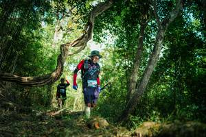 BIB: 
                            <button type="button" onclick="openModal(27928586)" class="btn btn-primary btn-sm float-right btn-popup" data-toggle="modal" data-target=".modal-high-quality">
                        <i class="fas fa-shopping-cart"></i> Add to Cart
                    </button>
                                            <button type="button" onclick="isThisMe(27928586, true)" class="btn btn-success btn-sm float-right btn-popup btn-isme hidden" data-toggle="tooltip" data-placement="bottom" title="นี่คือรูปของคุณใช่ไหม คลิกที่นี่เพื่อเอาเข้าอัลบั้ม">
                        <i class="fas fa-plus"></i> Add to album
                    </button>
                    <button type="button" onclick="isThisMe(27928586, false)" class="btn btn-warning btn-sm float-right btn-popup btn-isnotme hidden">
                        <i class="fas fa-ban"></i> Remove from album
                    </button>