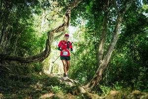 BIB: 
                            <button type="button" onclick="openModal(27928720)" class="btn btn-primary btn-sm float-right btn-popup" data-toggle="modal" data-target=".modal-high-quality">
                        <i class="fas fa-shopping-cart"></i> Add to Cart
                    </button>
                                            <button type="button" onclick="isThisMe(27928720, true)" class="btn btn-success btn-sm float-right btn-popup btn-isme hidden" data-toggle="tooltip" data-placement="bottom" title="นี่คือรูปของคุณใช่ไหม คลิกที่นี่เพื่อเอาเข้าอัลบั้ม">
                        <i class="fas fa-plus"></i> Add to album
                    </button>
                    <button type="button" onclick="isThisMe(27928720, false)" class="btn btn-warning btn-sm float-right btn-popup btn-isnotme hidden">
                        <i class="fas fa-ban"></i> Remove from album
                    </button>