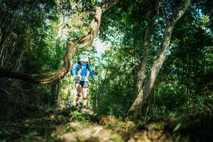 BIB: 
                            <button type="button" onclick="openModal(27929684)" class="btn btn-primary btn-sm float-right btn-popup" data-toggle="modal" data-target=".modal-high-quality">
                        <i class="fas fa-shopping-cart"></i> Add to Cart
                    </button>
                                            <button type="button" onclick="isThisMe(27929684, true)" class="btn btn-success btn-sm float-right btn-popup btn-isme hidden" data-toggle="tooltip" data-placement="bottom" title="นี่คือรูปของคุณใช่ไหม คลิกที่นี่เพื่อเอาเข้าอัลบั้ม">
                        <i class="fas fa-plus"></i> Add to album
                    </button>
                    <button type="button" onclick="isThisMe(27929684, false)" class="btn btn-warning btn-sm float-right btn-popup btn-isnotme hidden">
                        <i class="fas fa-ban"></i> Remove from album
                    </button>