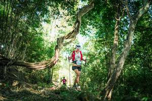 BIB: 
                            <button type="button" onclick="openModal(27929147)" class="btn btn-primary btn-sm float-right btn-popup" data-toggle="modal" data-target=".modal-high-quality">
                        <i class="fas fa-shopping-cart"></i> Add to Cart
                    </button>
                                            <button type="button" onclick="isThisMe(27929147, true)" class="btn btn-success btn-sm float-right btn-popup btn-isme hidden" data-toggle="tooltip" data-placement="bottom" title="นี่คือรูปของคุณใช่ไหม คลิกที่นี่เพื่อเอาเข้าอัลบั้ม">
                        <i class="fas fa-plus"></i> Add to album
                    </button>
                    <button type="button" onclick="isThisMe(27929147, false)" class="btn btn-warning btn-sm float-right btn-popup btn-isnotme hidden">
                        <i class="fas fa-ban"></i> Remove from album
                    </button>