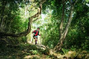 BIB: 
                            <button type="button" onclick="openModal(27928706)" class="btn btn-primary btn-sm float-right btn-popup" data-toggle="modal" data-target=".modal-high-quality">
                        <i class="fas fa-shopping-cart"></i> Add to Cart
                    </button>
                                            <button type="button" onclick="isThisMe(27928706, true)" class="btn btn-success btn-sm float-right btn-popup btn-isme hidden" data-toggle="tooltip" data-placement="bottom" title="นี่คือรูปของคุณใช่ไหม คลิกที่นี่เพื่อเอาเข้าอัลบั้ม">
                        <i class="fas fa-plus"></i> Add to album
                    </button>
                    <button type="button" onclick="isThisMe(27928706, false)" class="btn btn-warning btn-sm float-right btn-popup btn-isnotme hidden">
                        <i class="fas fa-ban"></i> Remove from album
                    </button>